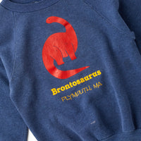 Vintage Plymouth, Mass Brontosaurus souvenir crewneck sweatshirt · Size 6x/8